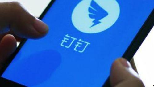 钉钉最新爆料在哪里看到